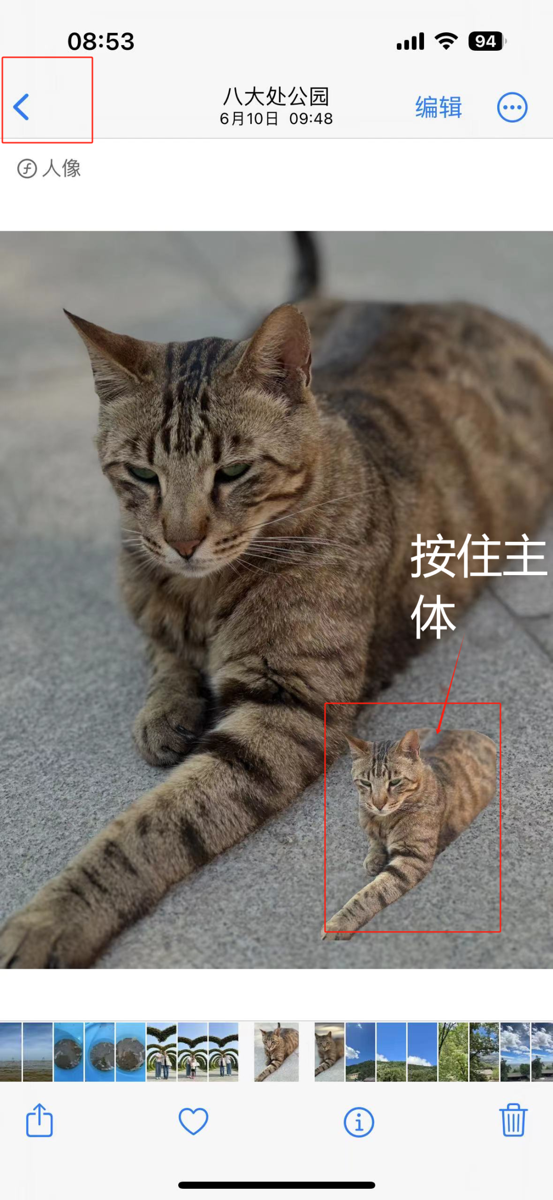 苹果ios18最新更新的车辆运动提示功能怎么用
