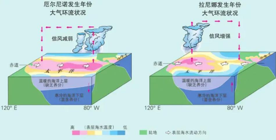 农历九月初一看冬天？民间老话VS气象预报，今年冬天到底有多冷